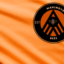 BEES HOME JERSEY